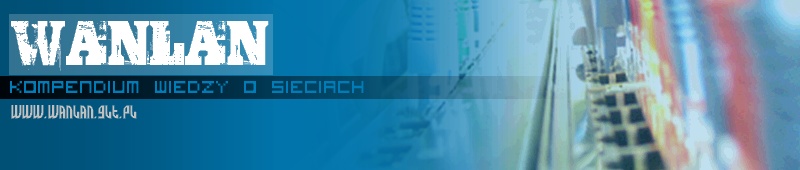 WANLAN - Kompendium wiedzy o sieciach, Sieci komputerowe , Ethernet , Fast Ethernet , Giga Ethernet , Token Ring , FDDI , WLAN , LAN , WAN
